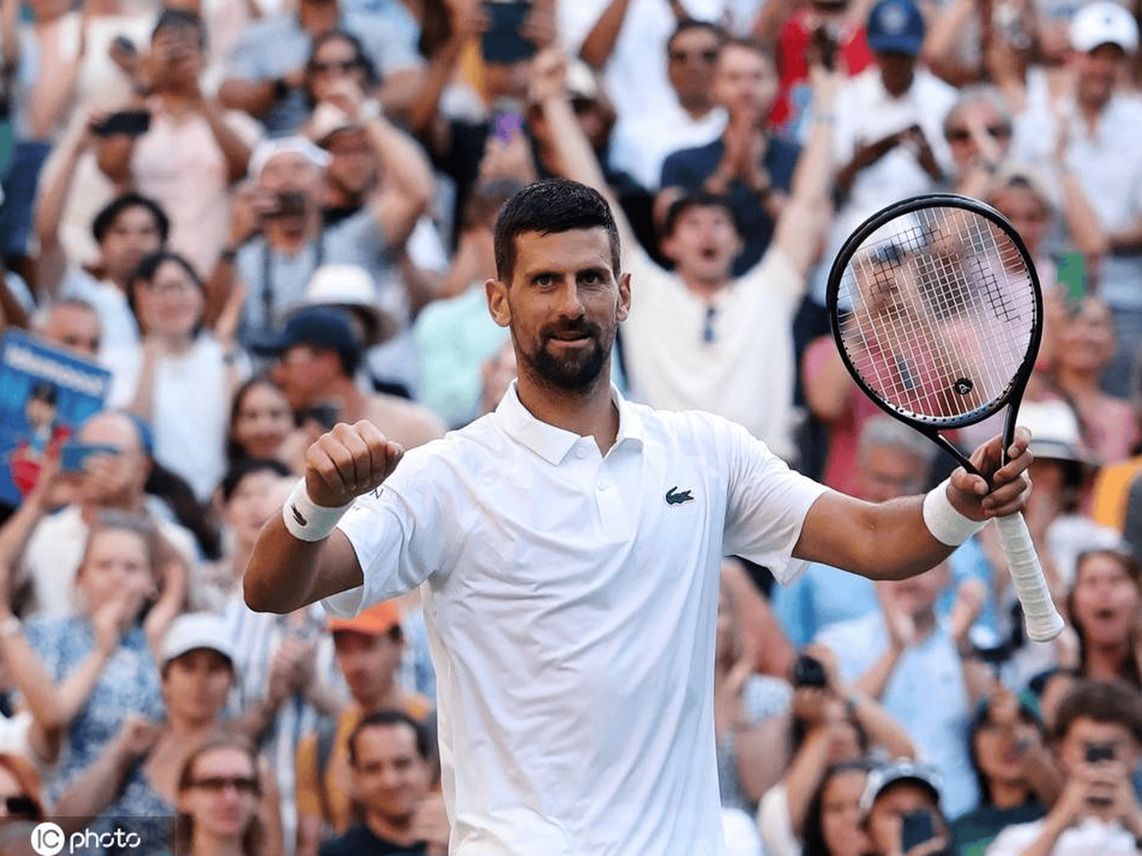 关于温网完胜美网,德约科维奇统治全场的信息 关于温网完胜美网,德约科维奇统治全场的信息