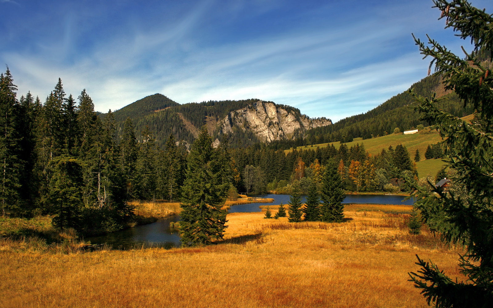 极夜轰鸣,当沉默火山奥利维耶用数据焚毁王座