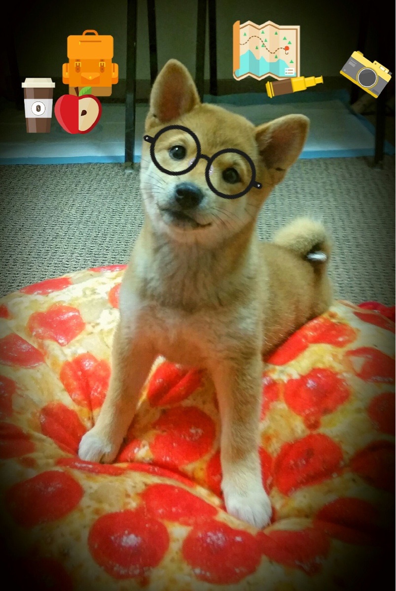 开云体育中国-爆冷！独行侠狂轰抢七，约基奇三双难救主