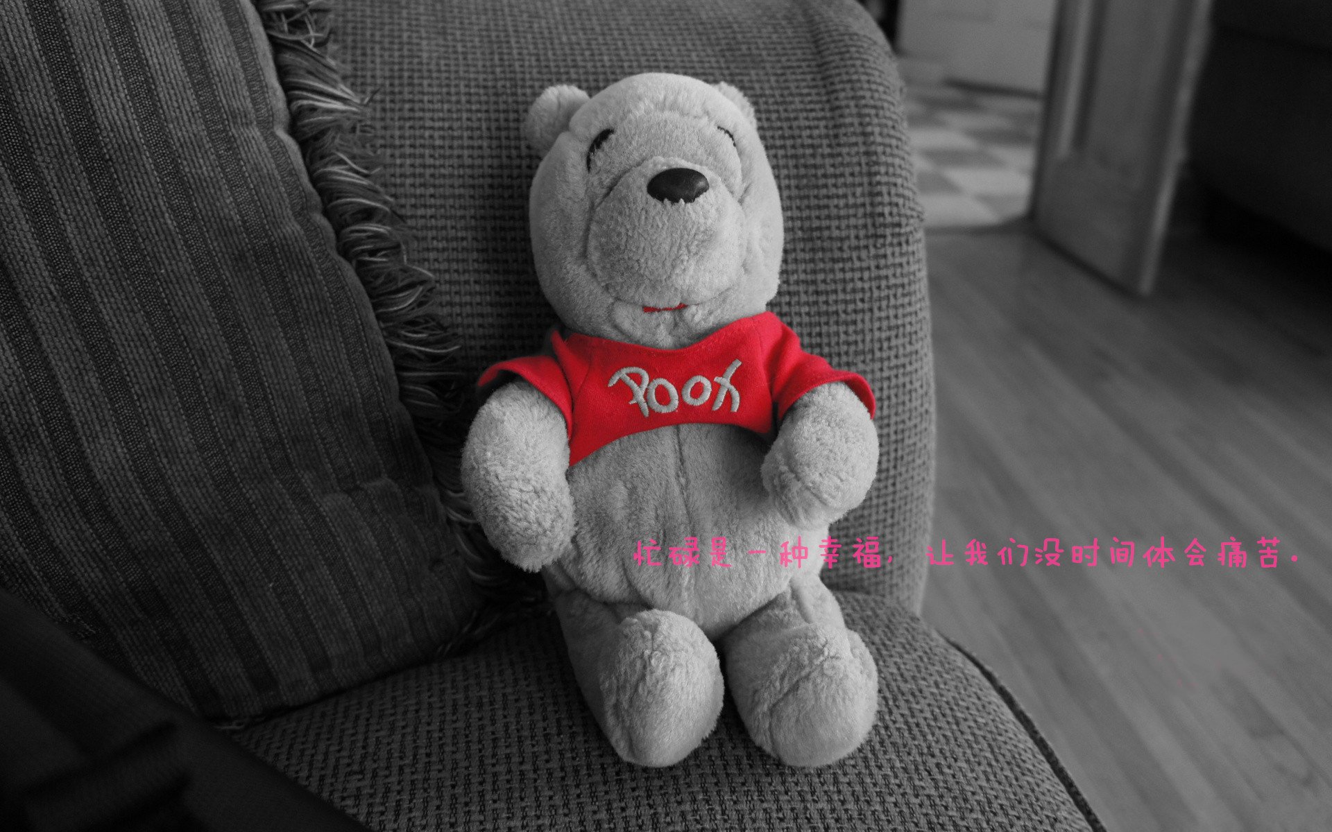 开云APP-节奏大师布克，黄蜂对阵鹈鹕的个人交响乐