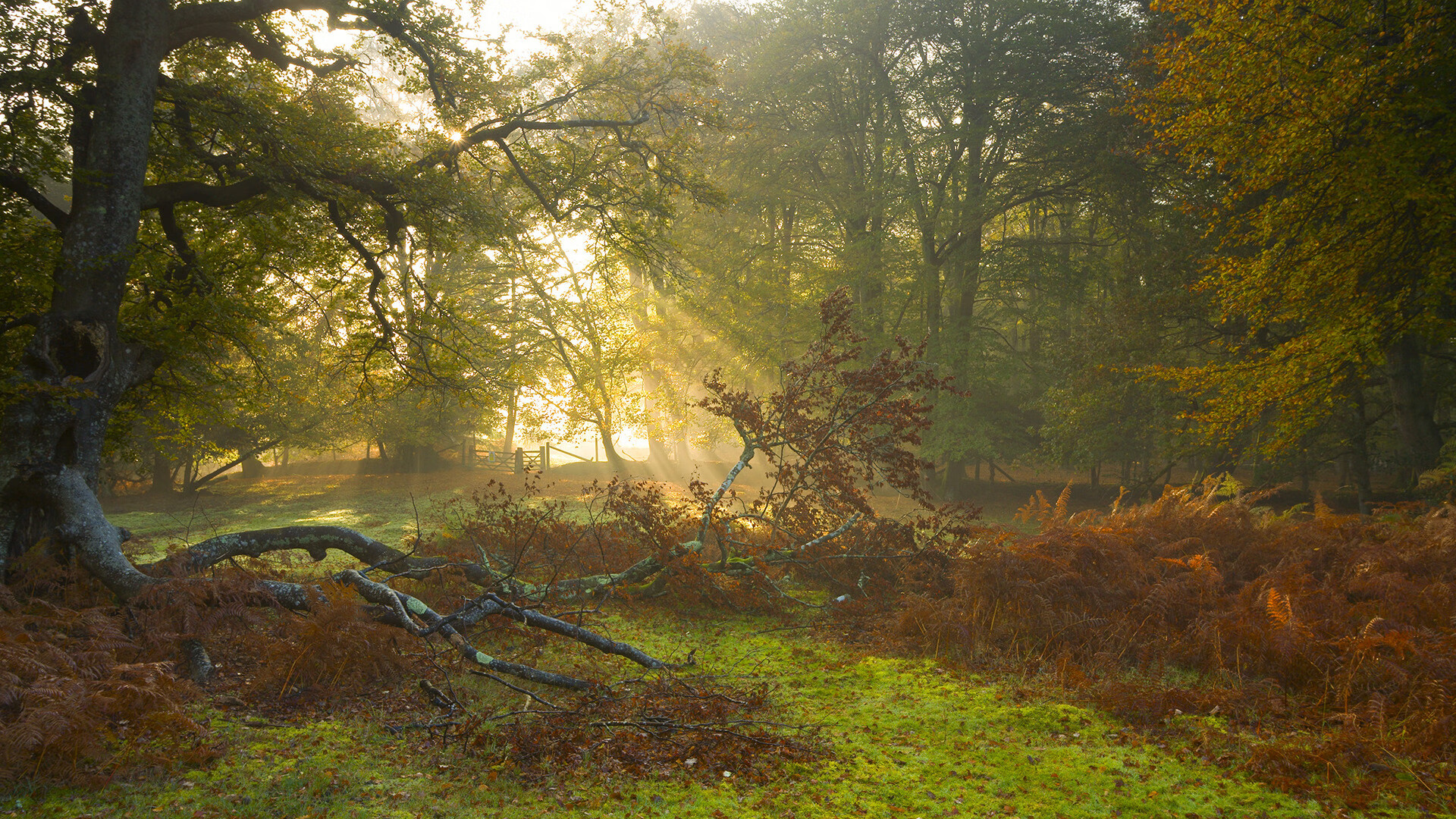 异界主宰，当哈登在平行宇宙的攻防裂变，写就雄鹿对阵广厦的唯一战纪