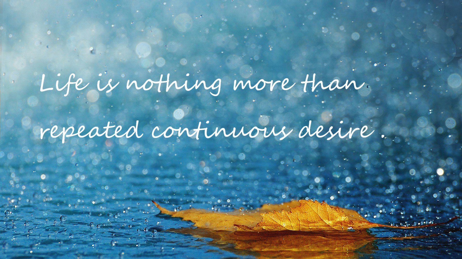 炽焰燎原，公牛团队火力焚毁魔术，杰伦格林冷锋出鞘定乾坤