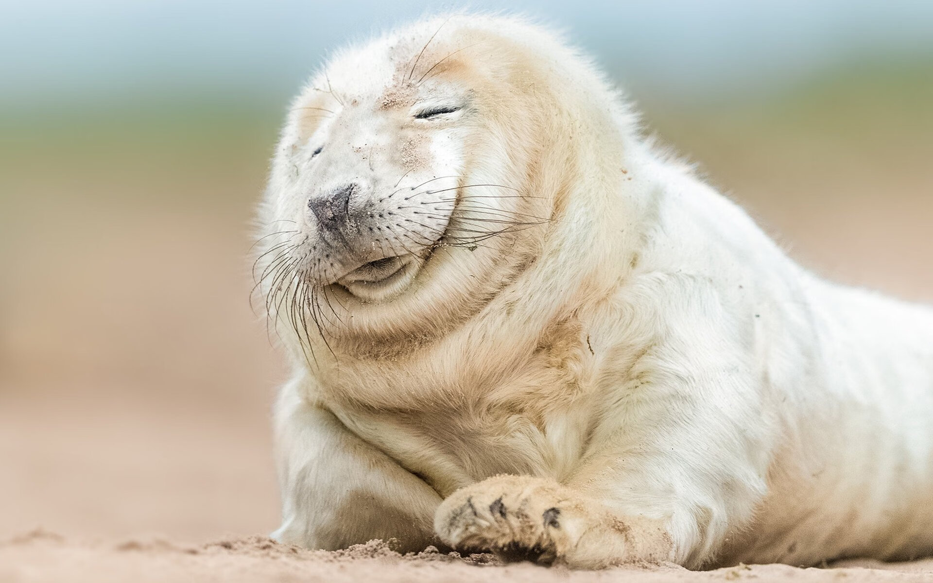 神祇的黄昏，逆鳞已现，当关键先生切特咬穿湖人的权杖之夜