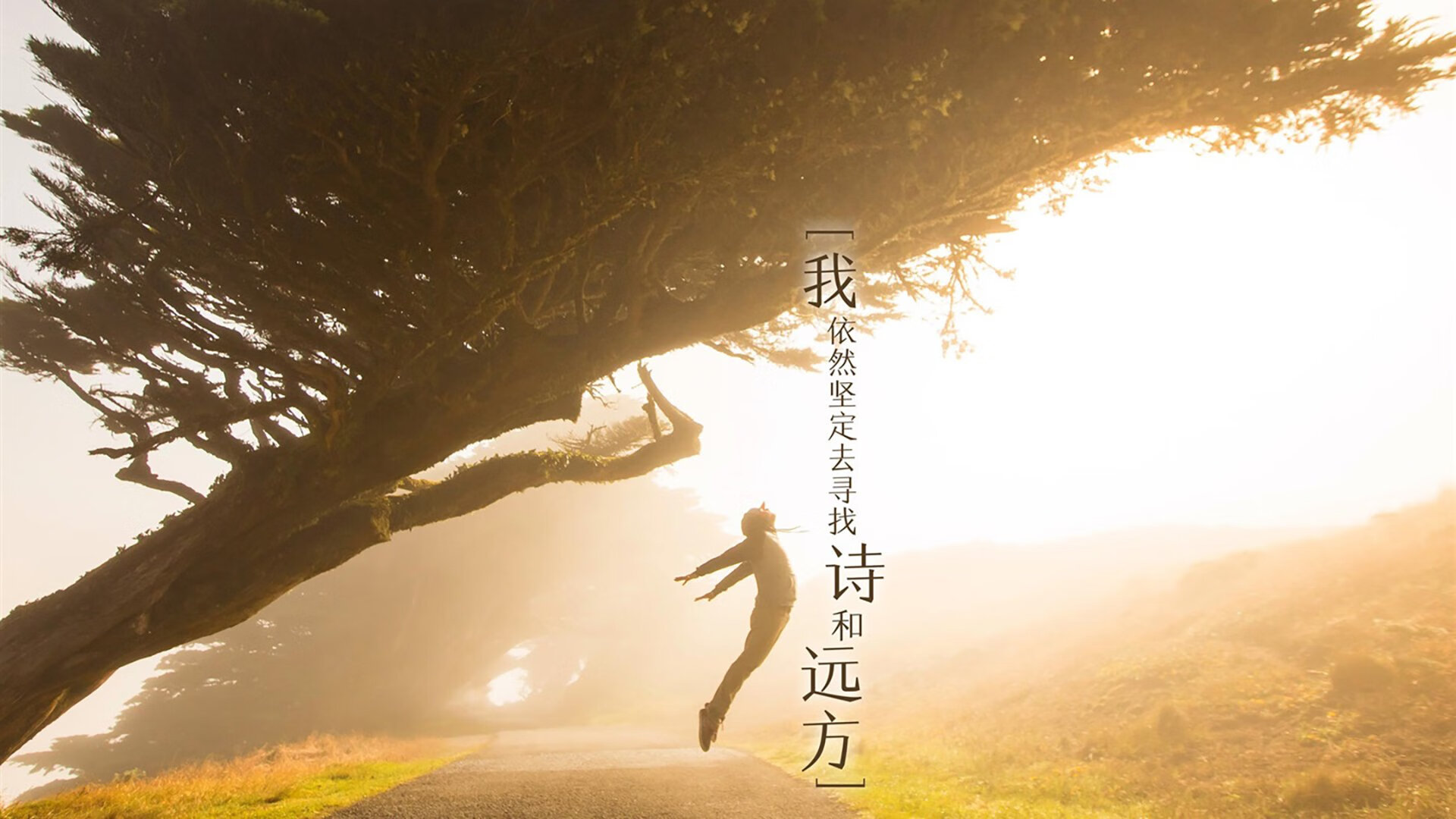 孤注一掷的十年，当罗德里戈在2026世界杯A组的绝境中，为澳大利亚与智利写下唯一解