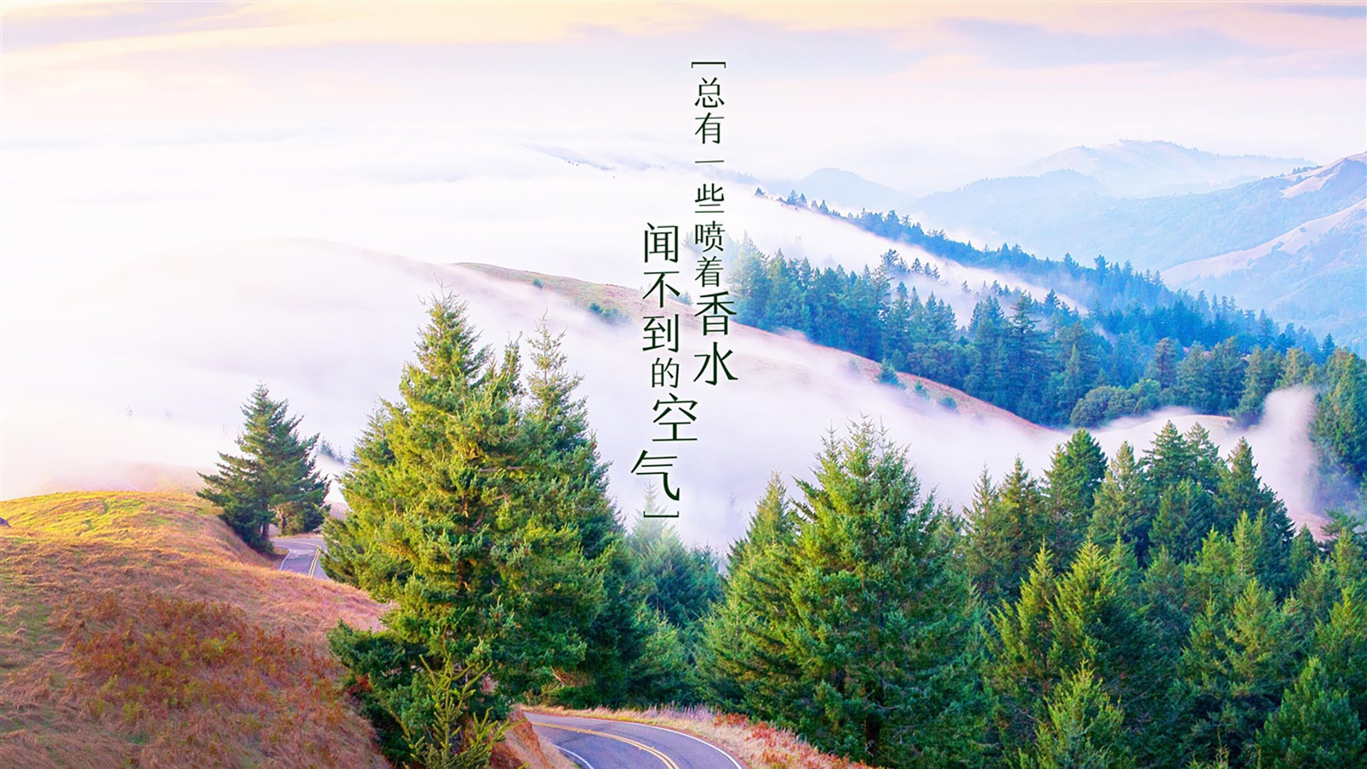 2026世界杯F组焦点战,内马尔魔术师般表演,智利绝地逆转美国书写经典