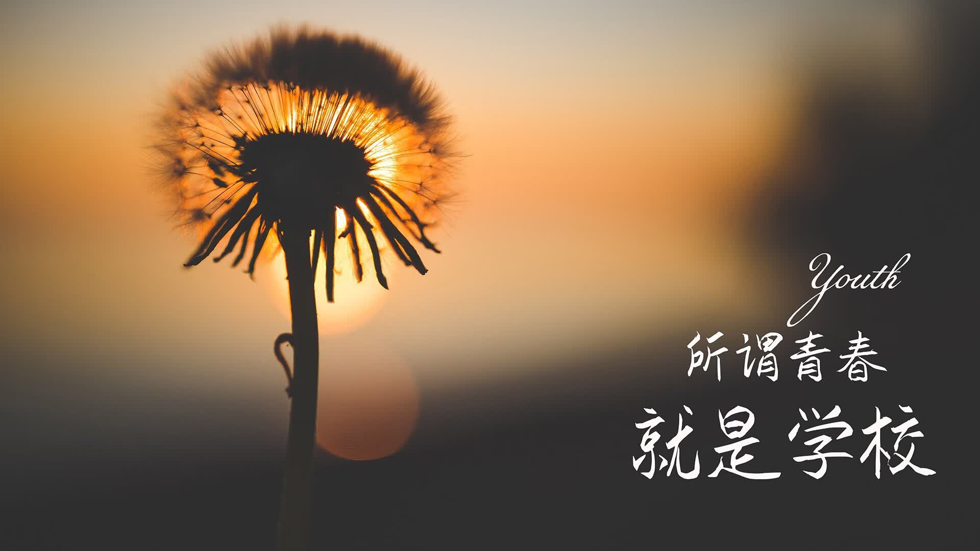 这是一篇为您定制的深度分析文章,结合了您提出的唯一性要求以及所有关键词