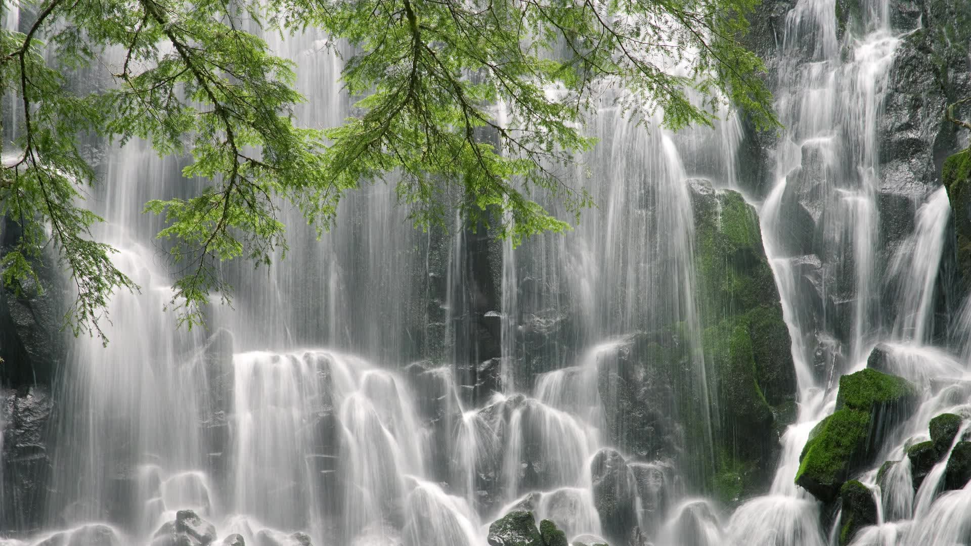 开云体育登录-1.高卢雄鸡的黄昏，蓝武士的黎明，吉鲁用最不法国的方式，为2026世界杯G组写下唯一注脚