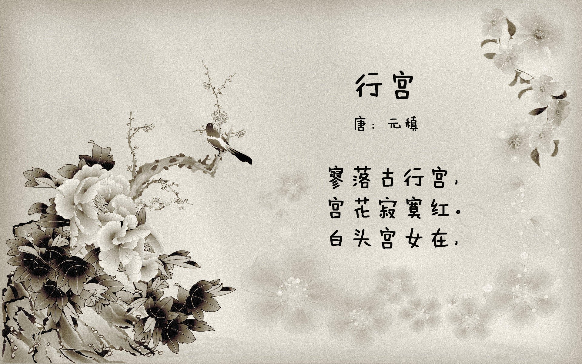 迷雾中的枫叶旗，当加拿大用速度撕碎南美铁血，卢卡库在温哥华之夜写下孤独神话